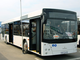 Автобус МАЗ 203057